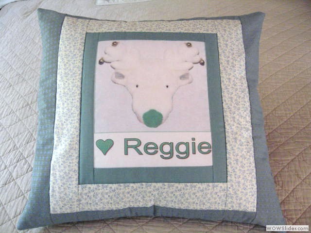 Pillow Reggie for Vicki02